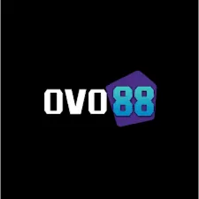 OVO88 - Aplikasi Terbaik untuk Status & Stiker di Sosial & Chat